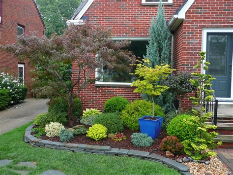 Best Small Shrubs For Front Yard