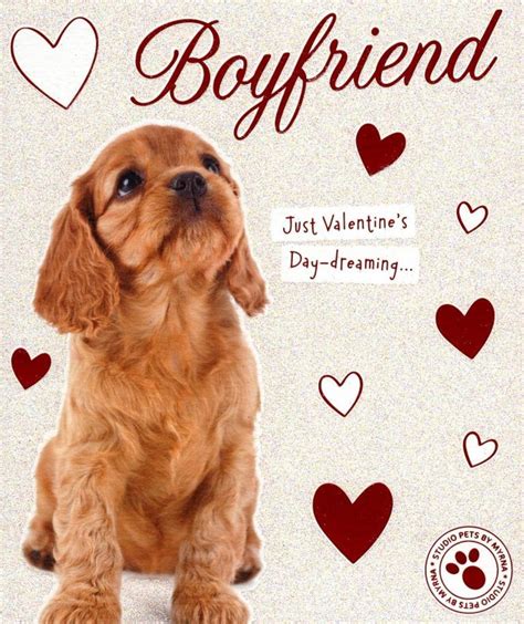 Boyfriend Cute Puppy Dog Valentines Day Card Cards