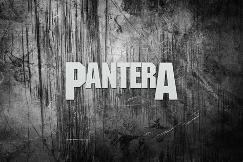 Pantera Wallpapers Top Free Pantera Backgrounds Wallpaperaccess