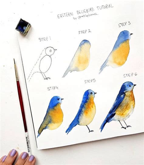 Pin By Emily Littler On Birds In 2020 Watercolor Paintings Tutorials Watercolor Bird