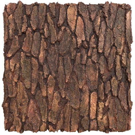 Waxy Tree Trunk Bark Texture Free Pbr Texturecan