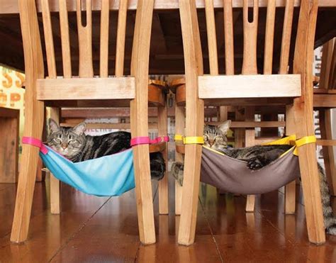 Give your feline friend comfortable cat furniture, such as cat trees, towers and climbers! Free Cat Tree Plans - Cool Cat Tree Plans | Diy cat toys ...