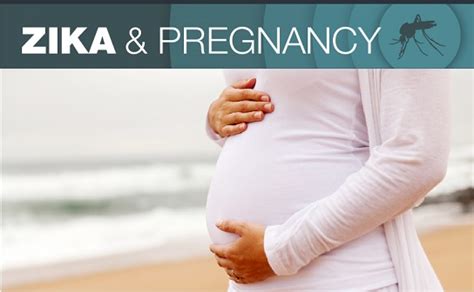 the zika virus and pregnancy new health advisor