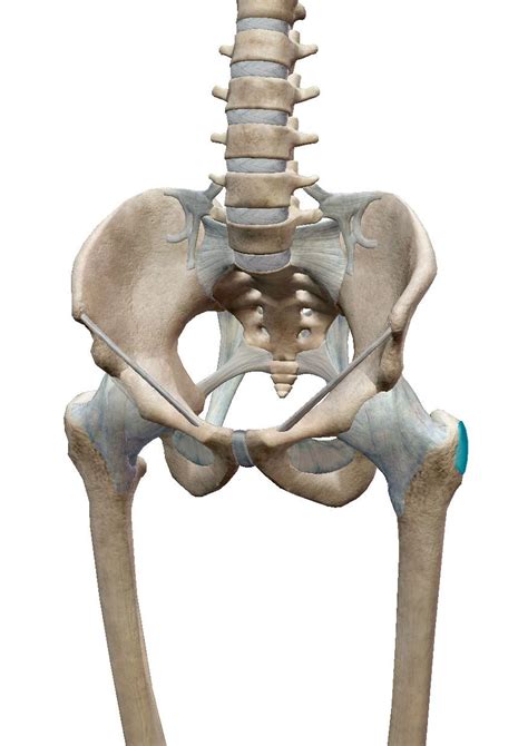 Whats Causing My Hip Pain