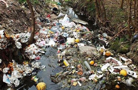 Contaminación Del Agua En México Blog Didáctico