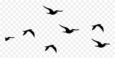 Download Flying Birds Silhouette Png Clipart 4210104 Pinclipart