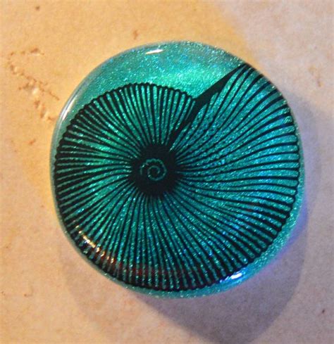 Fused Dichroic Glass Cabochon Shell Glass Cab For Jewelry Etsy Dichroic Dichroic Glass