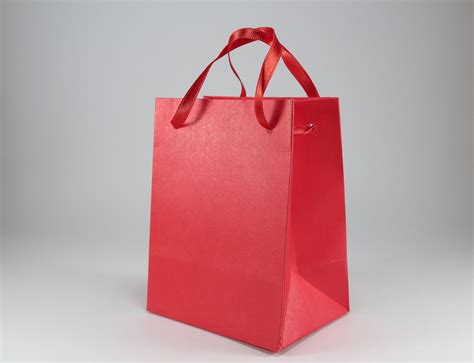 Large Paper Grocery Bags With Handles Iucn Water