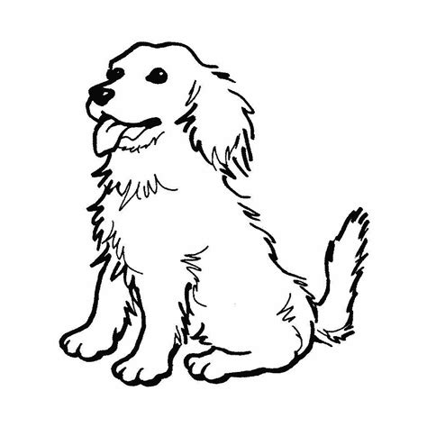 Dibujos de perros para colorear. PerrosAmigos.com