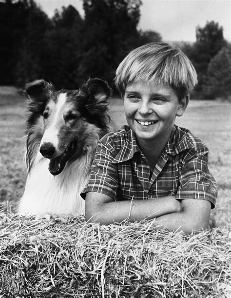 Timmy And Lassie If Only There Was More Television Like This Great
