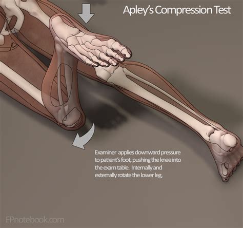 Apleys Compression Test