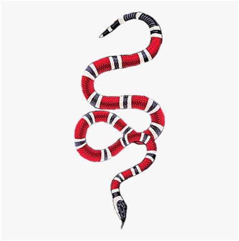 Gucci Snake Png Gucci Snake Logo Png Transparent Png Kindpng