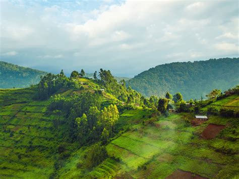 Uganda Und Ruanda Aktivplus World Insight Erlebnisreisen