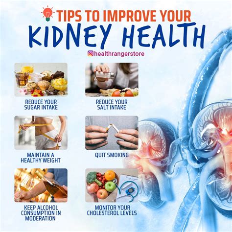 Tips to improve your kidney health | Kidney health, Health, Health and wellness