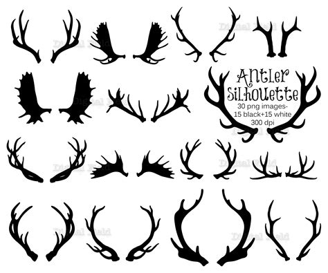 Deer Antlers Silhouette Ubicaciondepersonascdmxgobmx