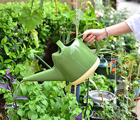 Watering Can 1 Gallon For Outdoor Plants Plant Watering Can With