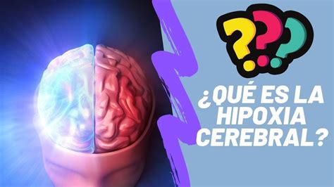 ¿qué Es La Hipoxia Cerebral Todo Lo Que Debes Conocer Sobre La