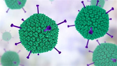 What Is An Adenovirus Live Science