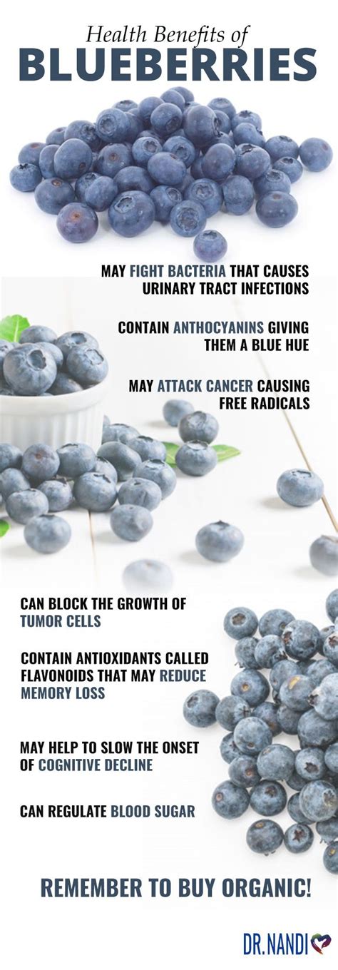 The Many Health Benefits Of Blueberries Blueberries Health Benefits