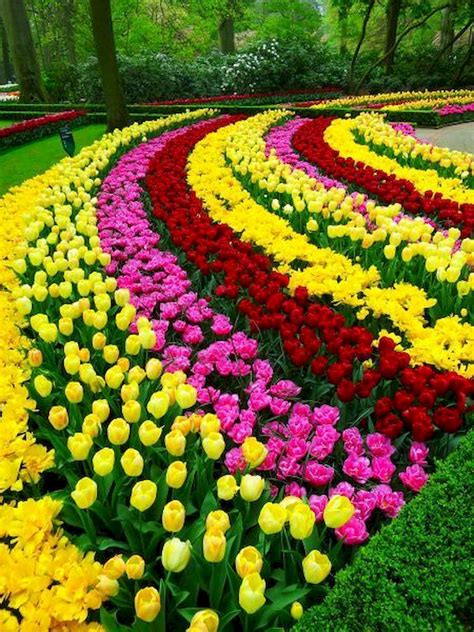 Check spelling or type a new query. 55 Beautiful Flower Garden Design Ideas (43) - GARDENIDEAZ.COM