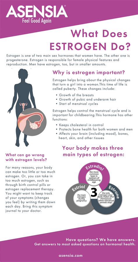 What Does Estrogen Do Infographic Infographic Plaza