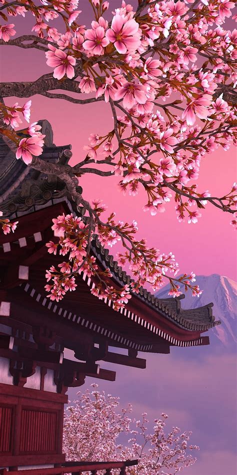 Sakura Tree Cherry Blossom Tree Hd Phone Wallpaper Peakpx