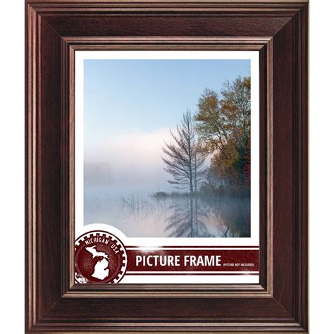 Craig Frames Contemporary Mahogany Red Picture Frame