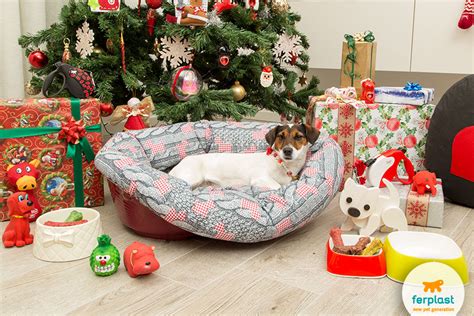 Huge sale on dog presents for christmas now on. Great ideas for Christmas gifts for the dog - LOVE FERPLAST