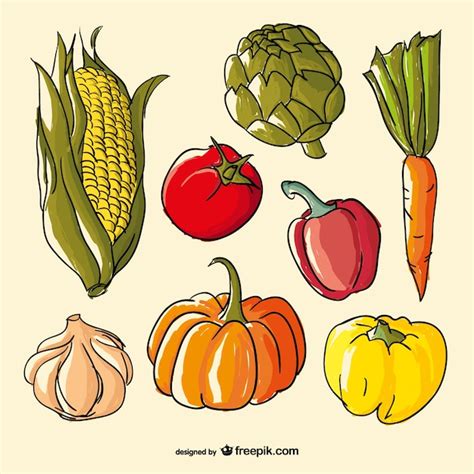 Verduras De Colores Dibujadas A Mano Descargar Vectores Gratis