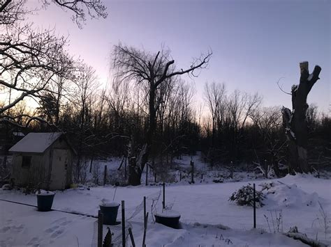 Cold Snowy Mornings Are The Best Homestead