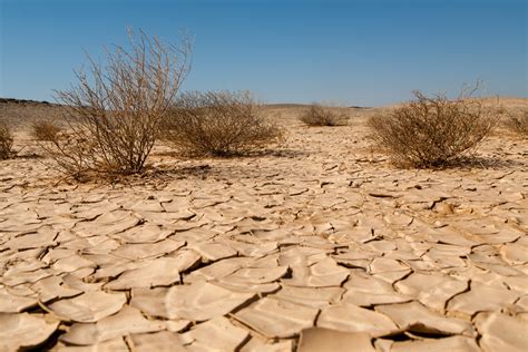 O Combate à Desertificação E à Seca