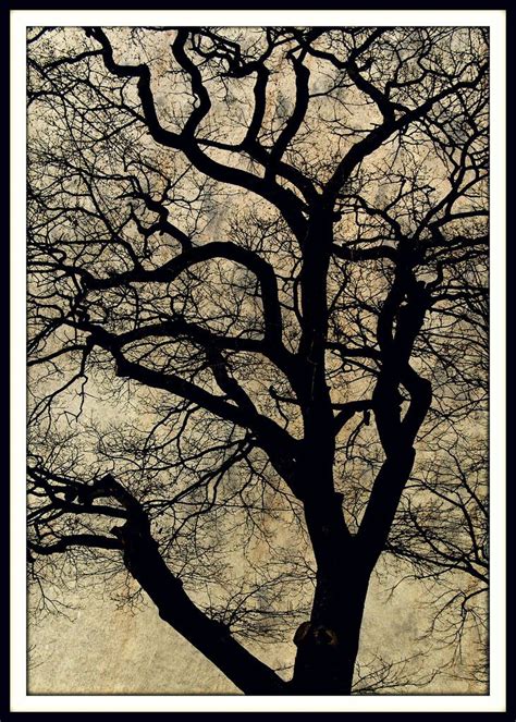 Black Tree | Black tree, Abstract artwork, Pretty pictures
