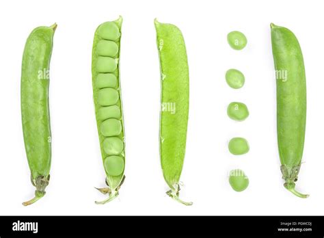 Fresh Green Pea Pod Isolated On White Background Set Or Collection