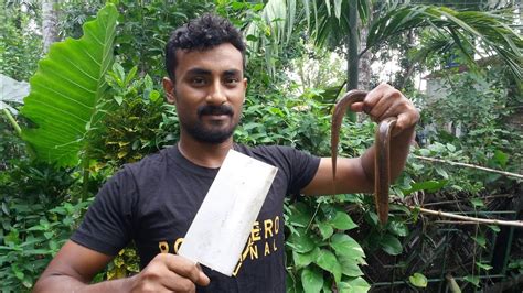 Indian Eel Fish Curry In Bbq Setup High Blood Circulation Food