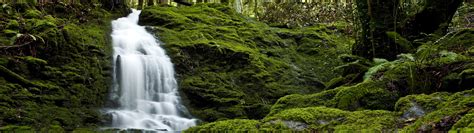 Wallpaper Waterfall Nature Jungle Stream Rainforest Watercourse