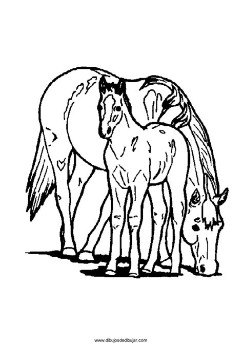 Foal Free Coloring Pages Online Print