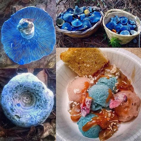 “blue Mushroom Ice Cream 💙🍄🍨 Made By Chefswild At The