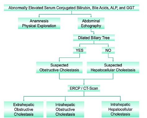Classification Of Cholestasis According To Biochemical Data Image