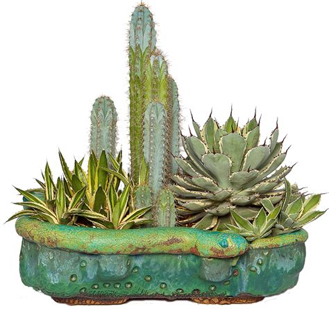 Cactus In A Pot Stroke Transparent Png Svg Vector Fil