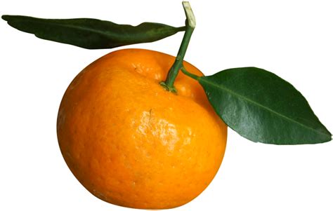 Tangerine Png Isolated Image Png Mart