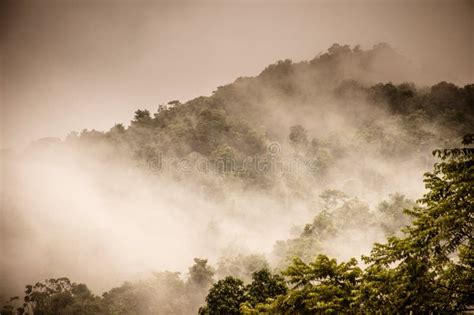 Morning Mist On Mountain Range Stock Photo Image Of Eerie Nature