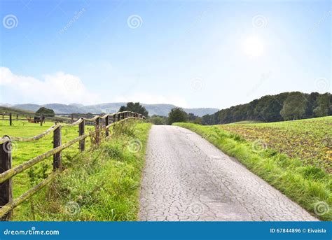 Idyllic Country Road In The Sun Stock Photo Image Of Country Path