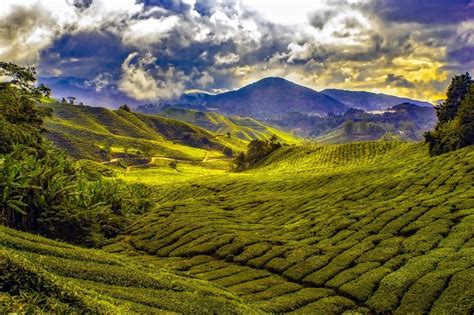 Find information on working in malaysia, including its job market, job vacancies, work experience and malaysian visas. 7 Best Destinations for Travel Adventures - Traveling in Heels