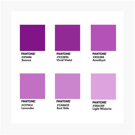 Pantone Purple Ubicaciondepersonascdmxgobmx