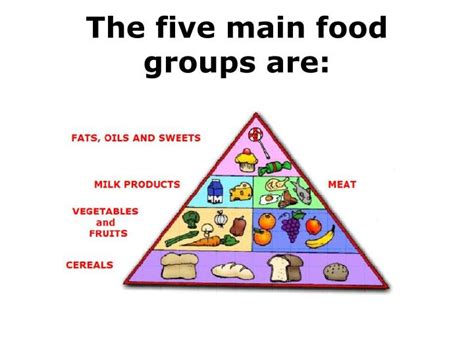 All Five Food Groups