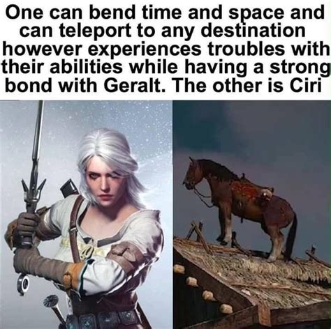 Witcher 3 Roach Vs Ciri The Witcher The Witcher Game The Witcher