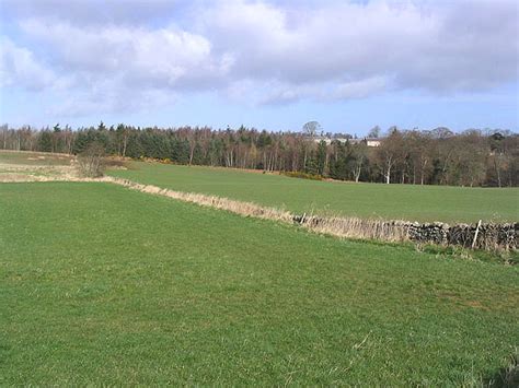 Grazing Fields At Monklaw © Walter Baxter Geograph Britain And Ireland