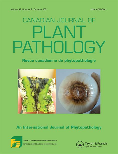 Full Article Identification And Virulence Of Fusarium Falciforme And