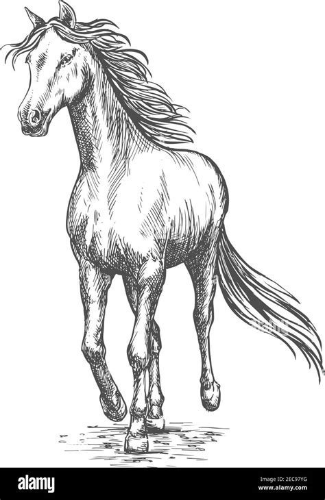 Pencil Drawing Of Running Horse