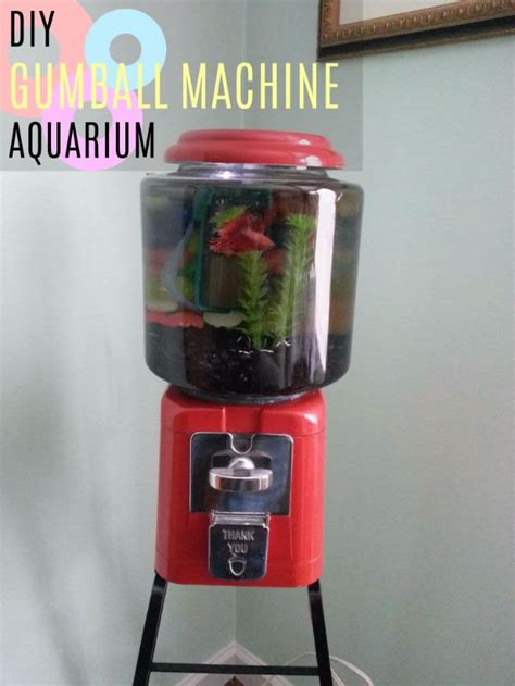 The making process is simple and only takes about 6 hours to complete. 15 Awesome DIY Aquarium Ideas That Are Full Of Creativity